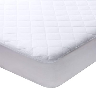 Twin Size Protectors